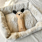 Dog toy with bottle inside - DOG 🐕