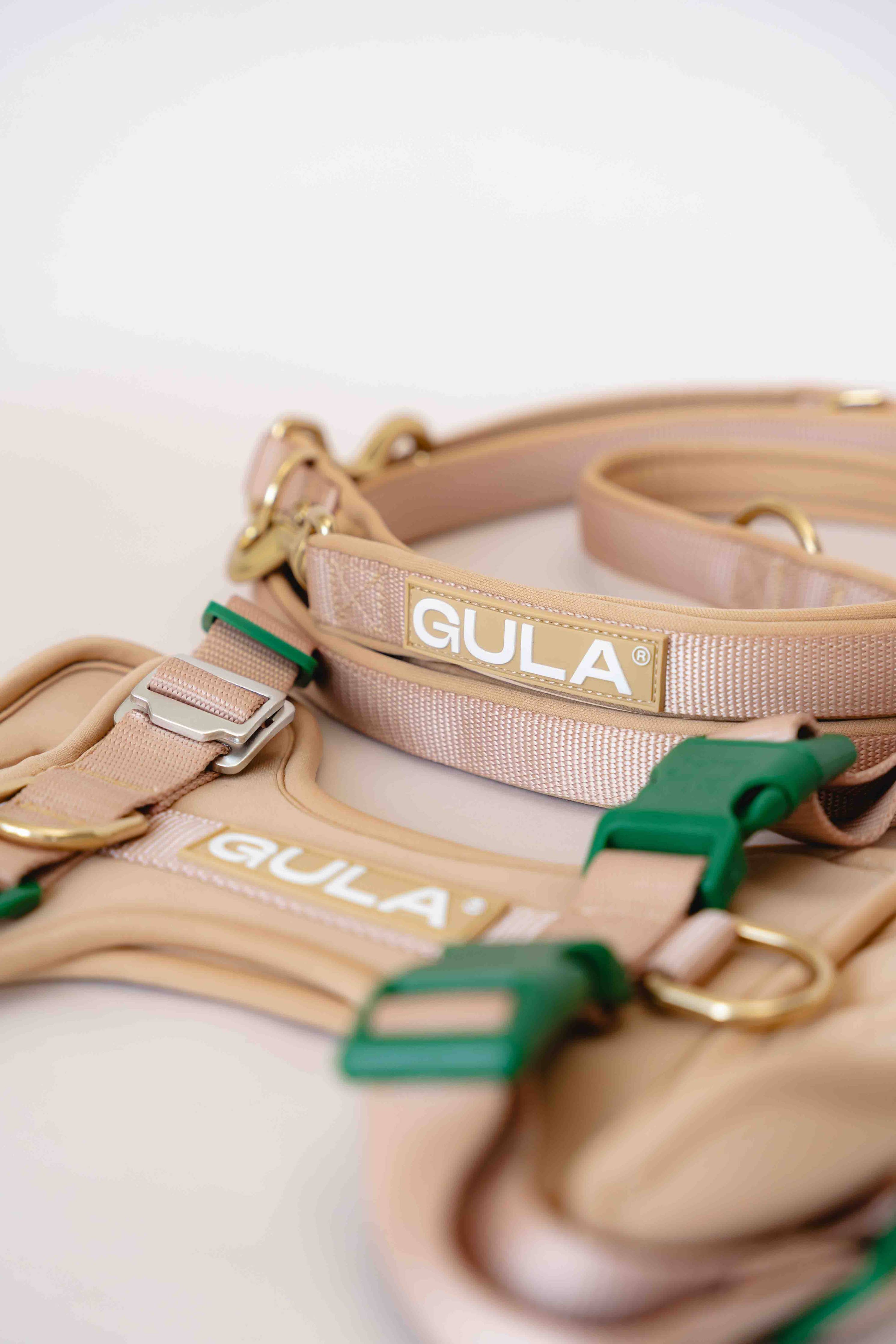 Dog Leash (Air-layer fabric) - Beige