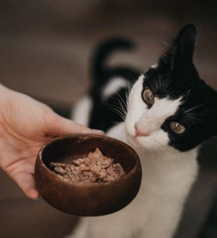 Chicken cans for cats by Retorn