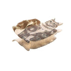 Hair clip - Maine Coon cat