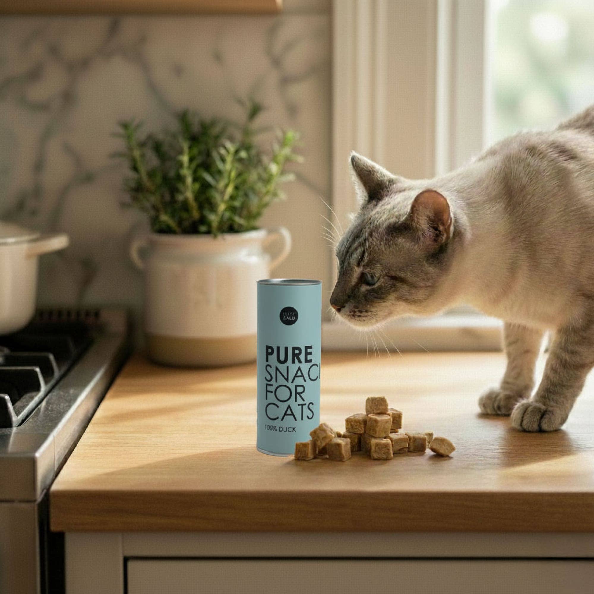 PURE freeze-dried duck cat treats
