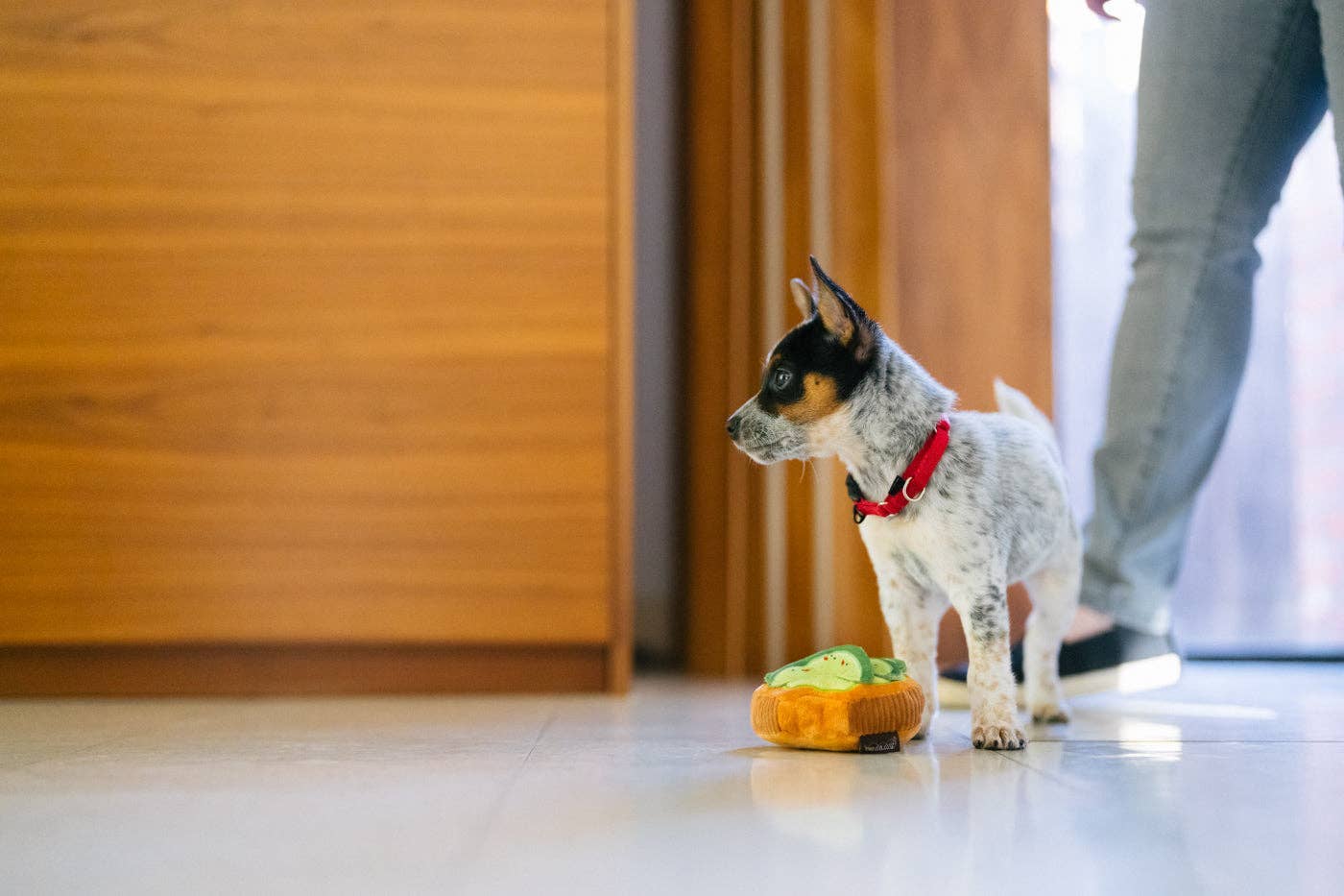 Barking Brunch Avo-doggo Toast toy