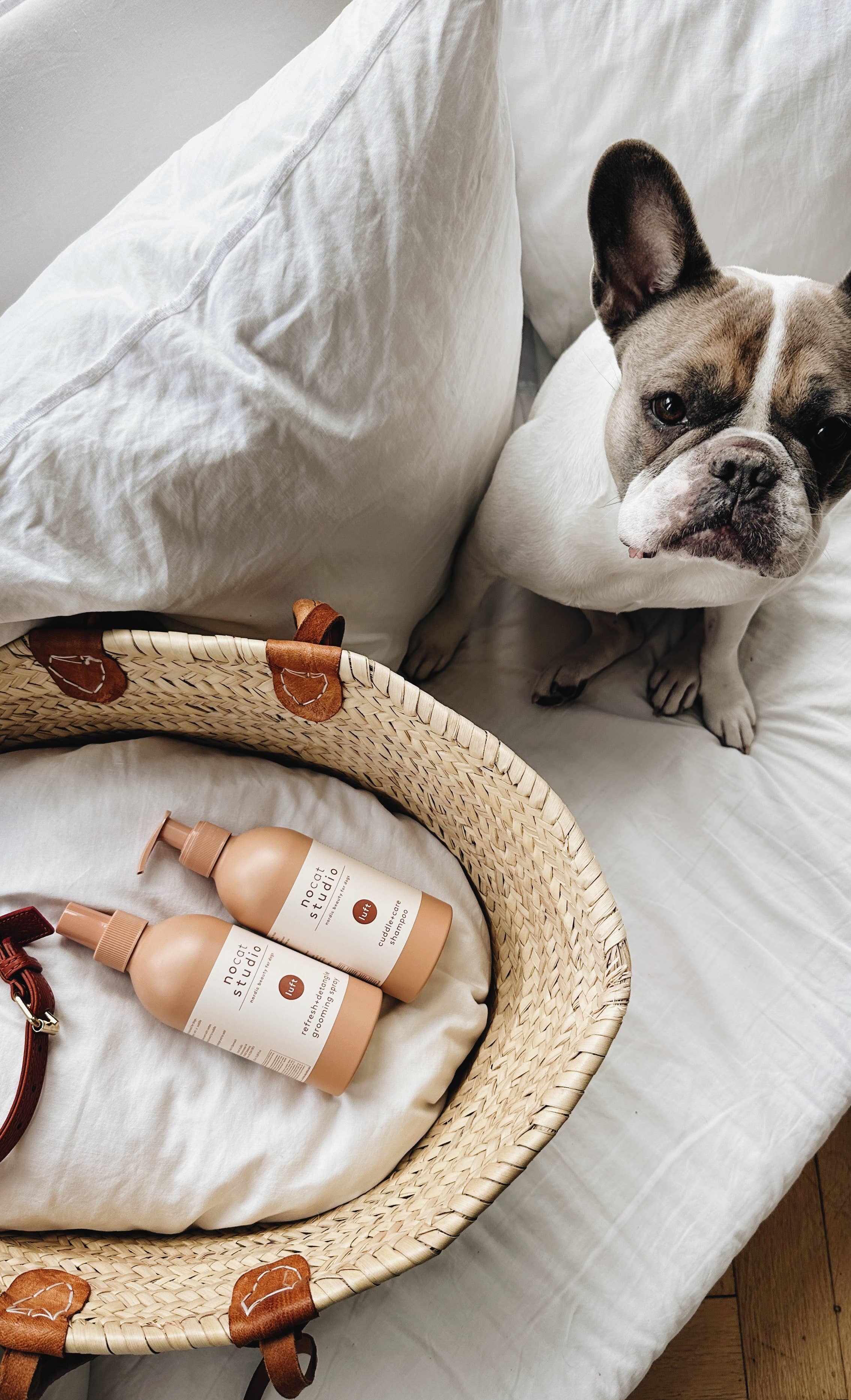 Cuddle+care shampoo LUFT