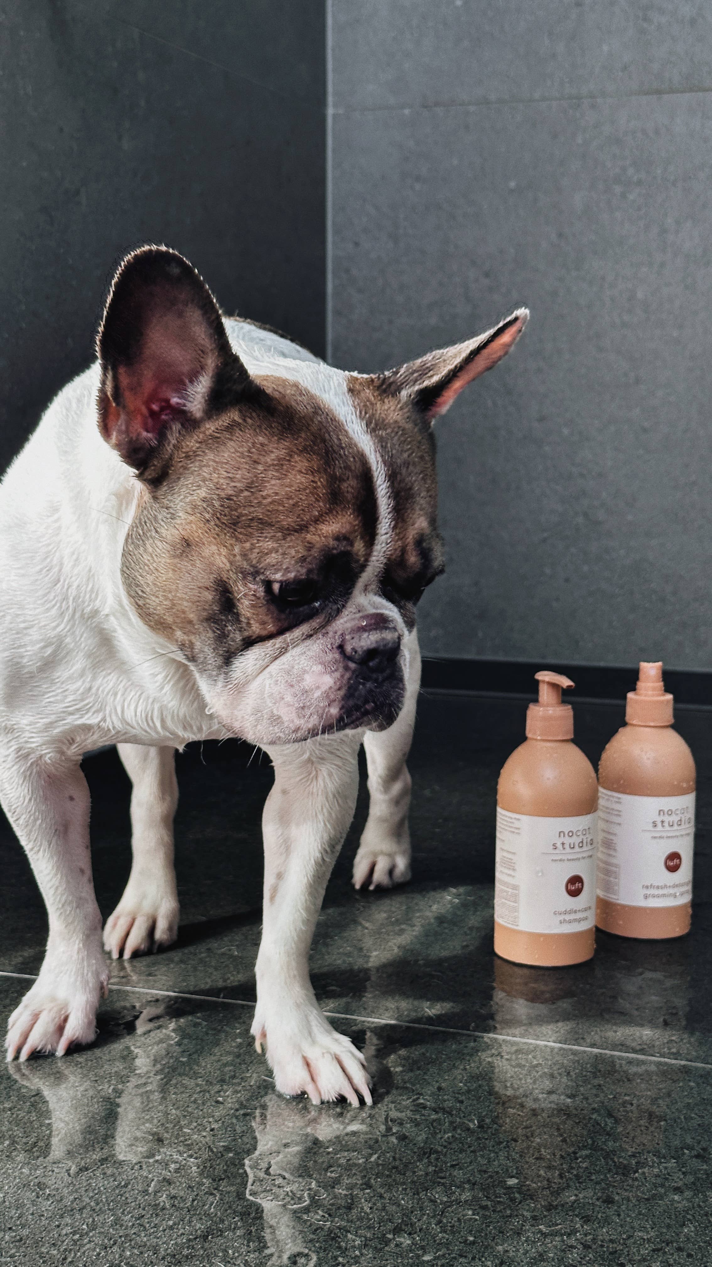 Cuddle+care shampoo LUFT