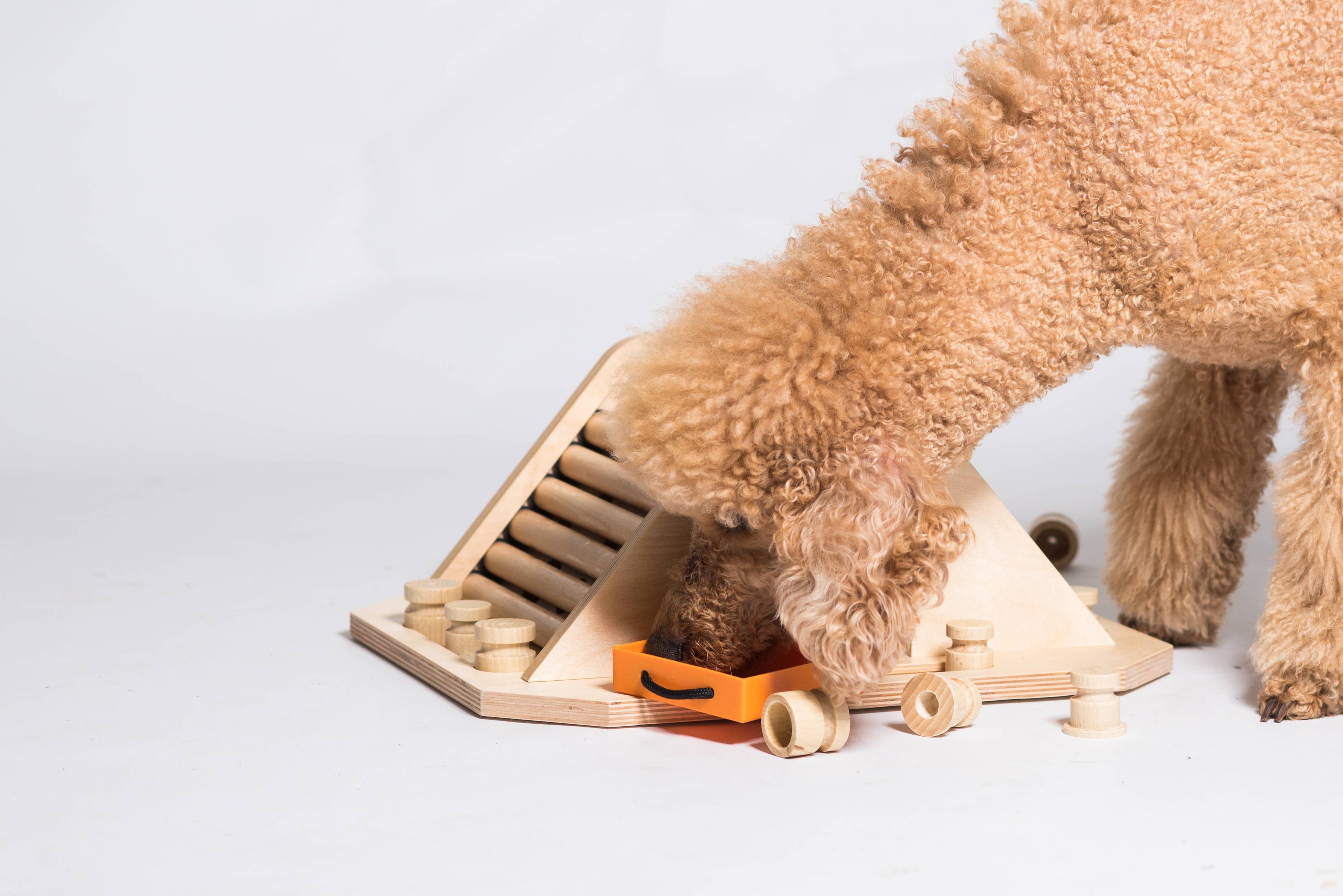 Pyramid - challenging and stimulating dog game