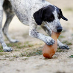 Rub Flipper Dog Toy