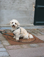 Luna step-in Harness Green Sand