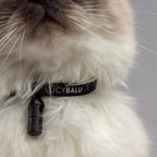 WILLY cat collar with name capsule