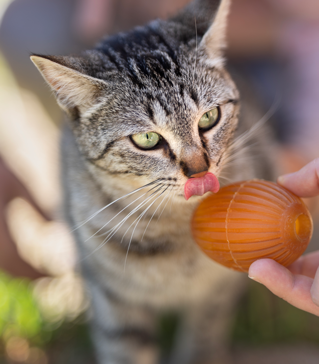 Natural Rubber Gossy Egg Cat Toy