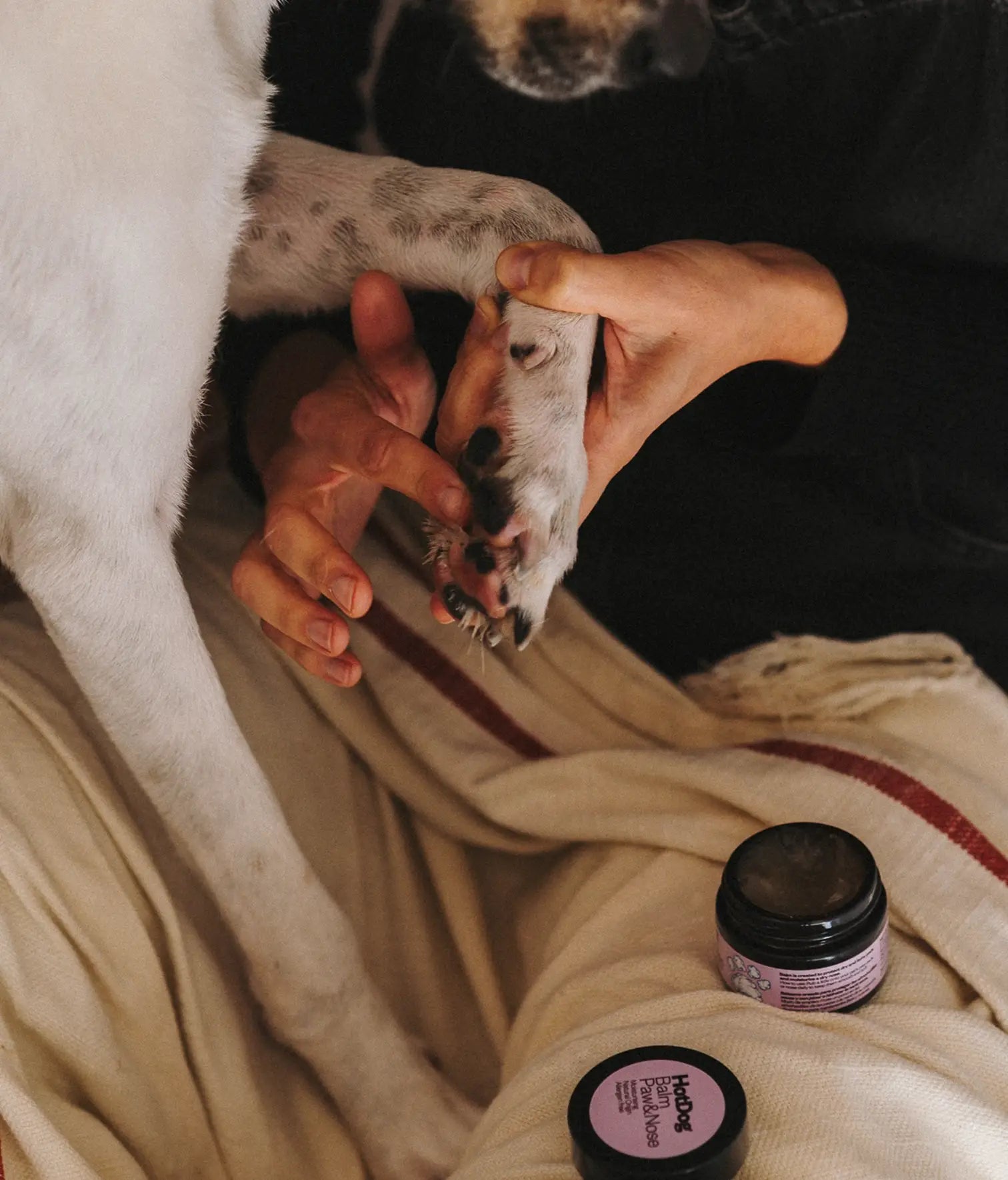 Dog paw & nose balm