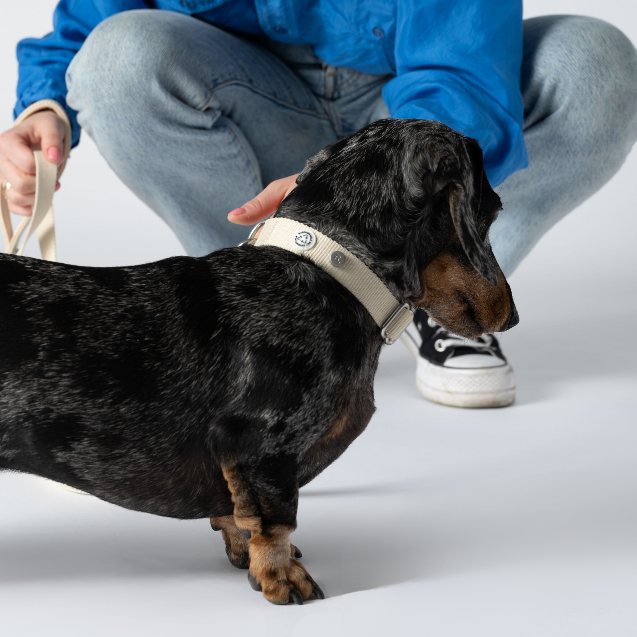 Dog Collar Sand Recycled Material