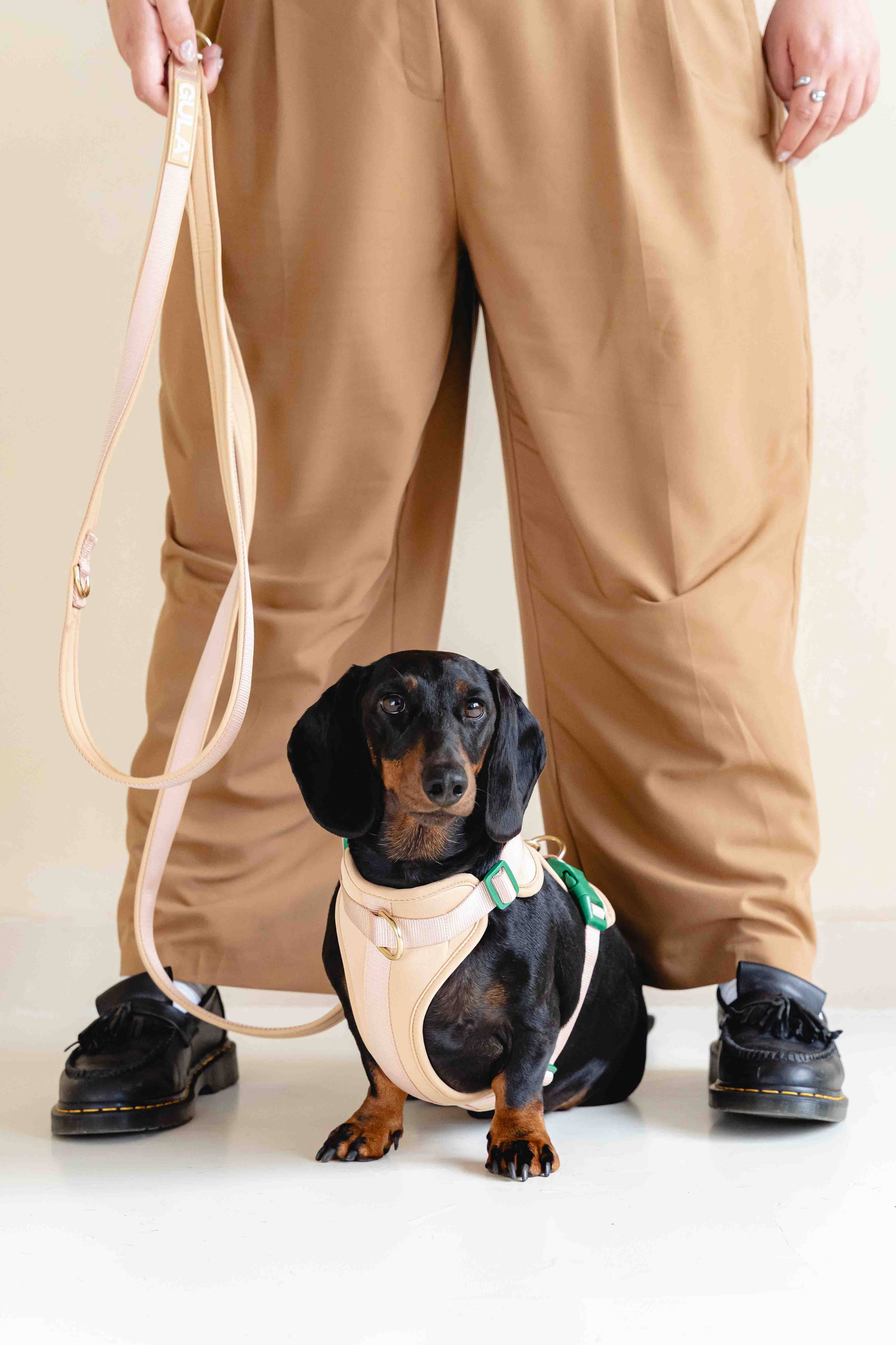 Dog Leash (Air-layer fabric) - Beige