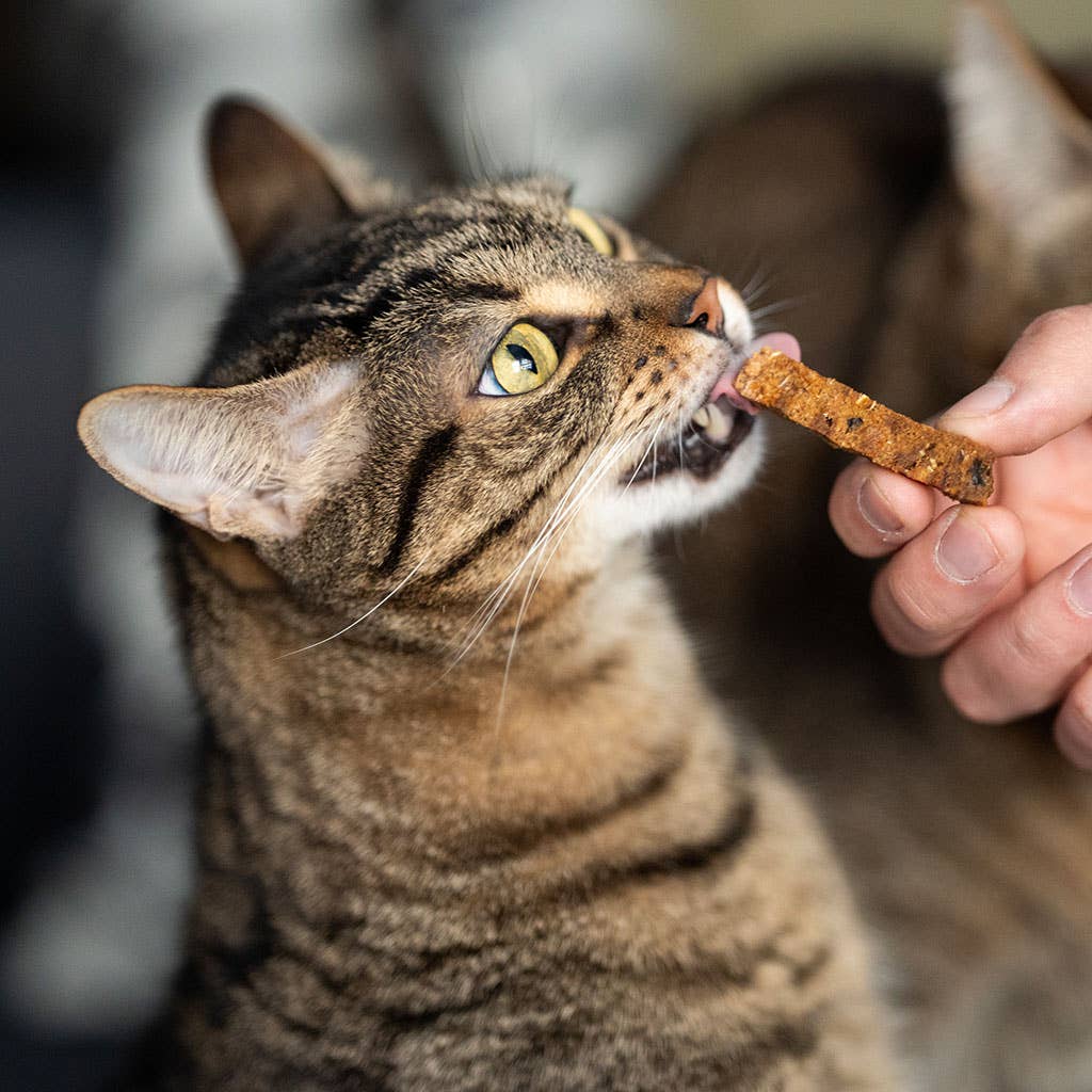 Treat Rub Stick Dental Chicken for Cats 100g
