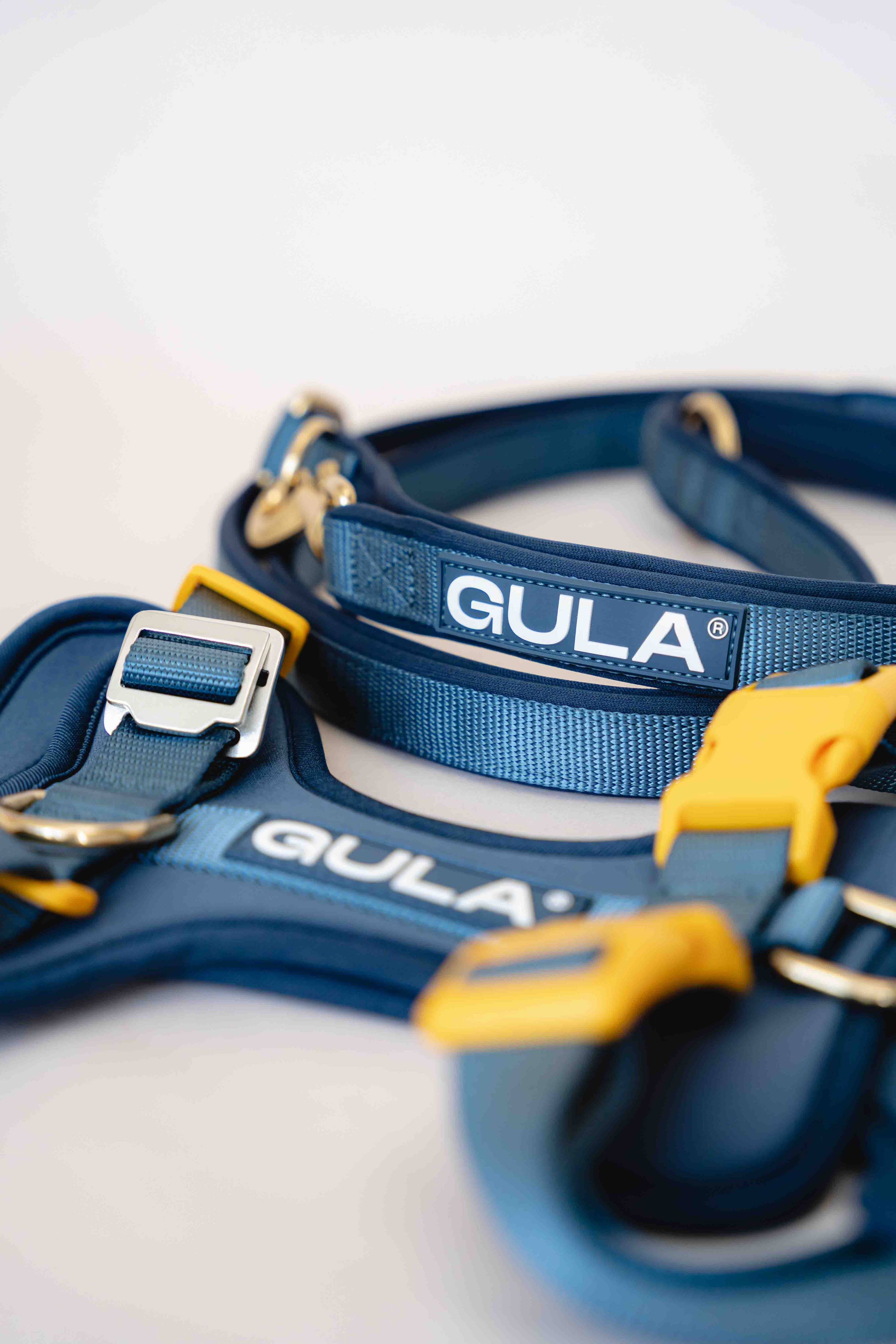 Dog Leash (Air-layer fabric) - Blue