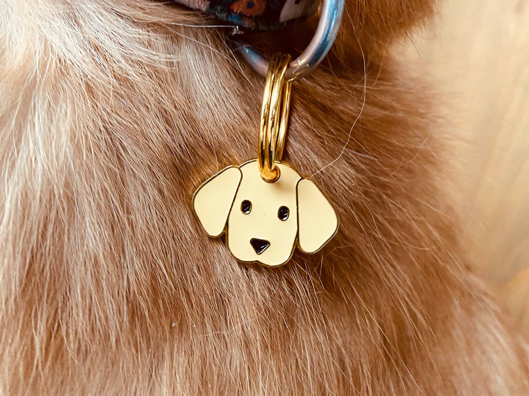 Labrador dog tag