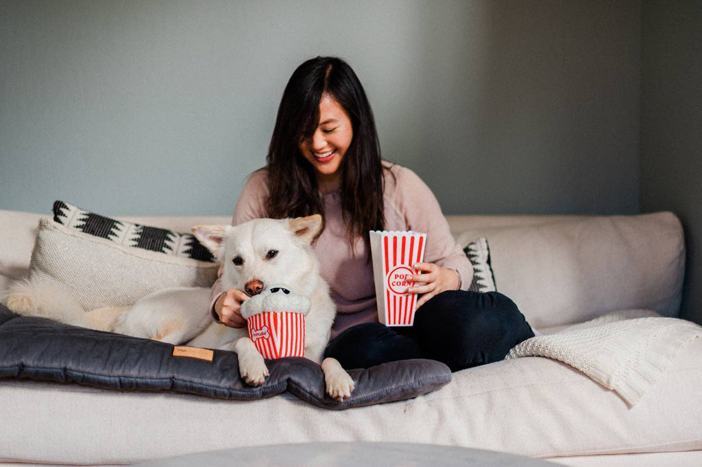 P.L.A.Y Hollywoof Cinema Poppin' Pupcorn