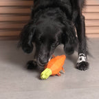 Super Veggiez Carrot