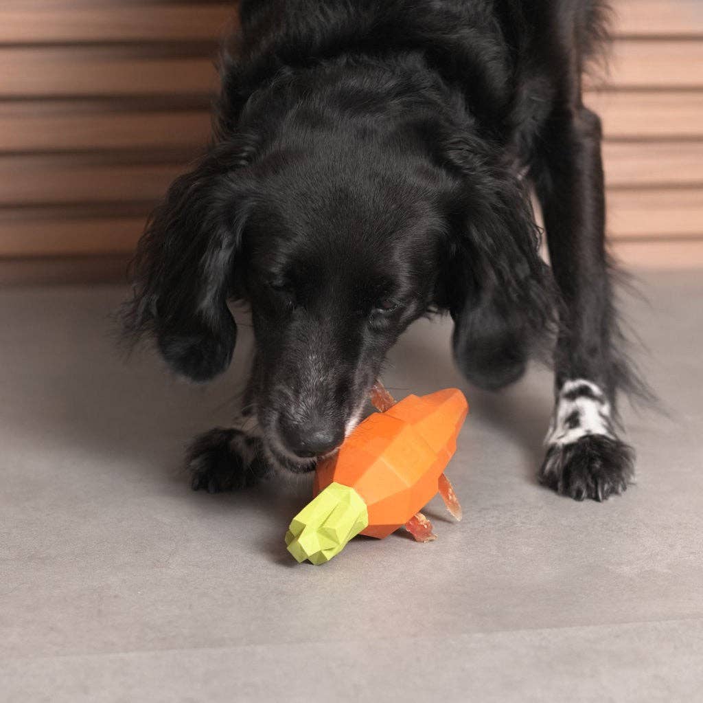 Super Veggiez Carrot