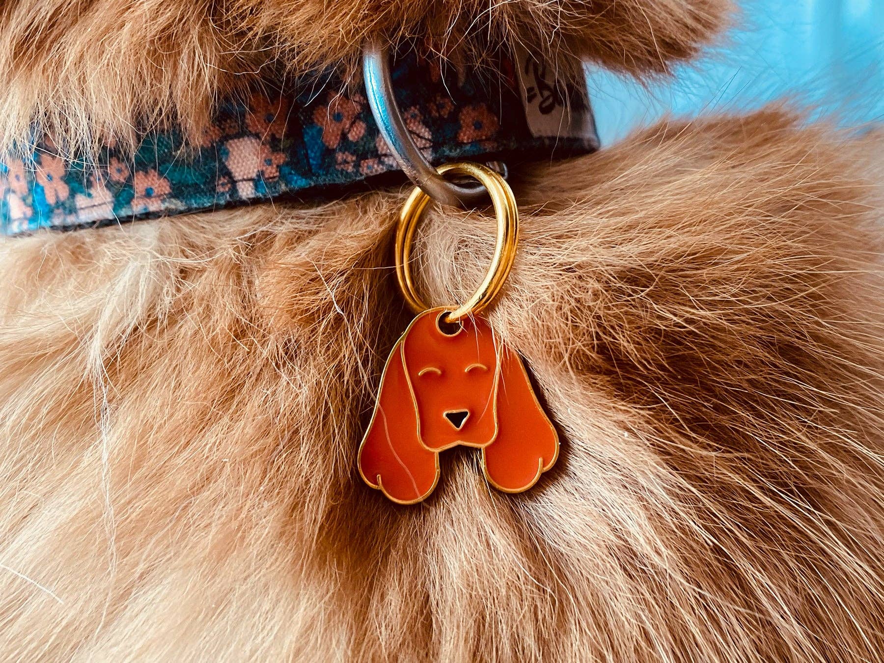 Cocker Spaniel dog tag