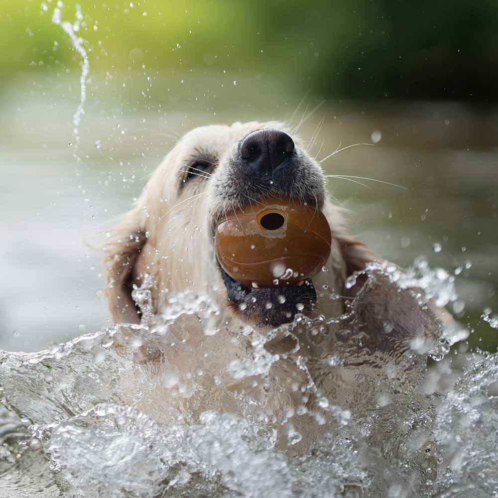 Rubber Ball Dog Toy - S/M/L