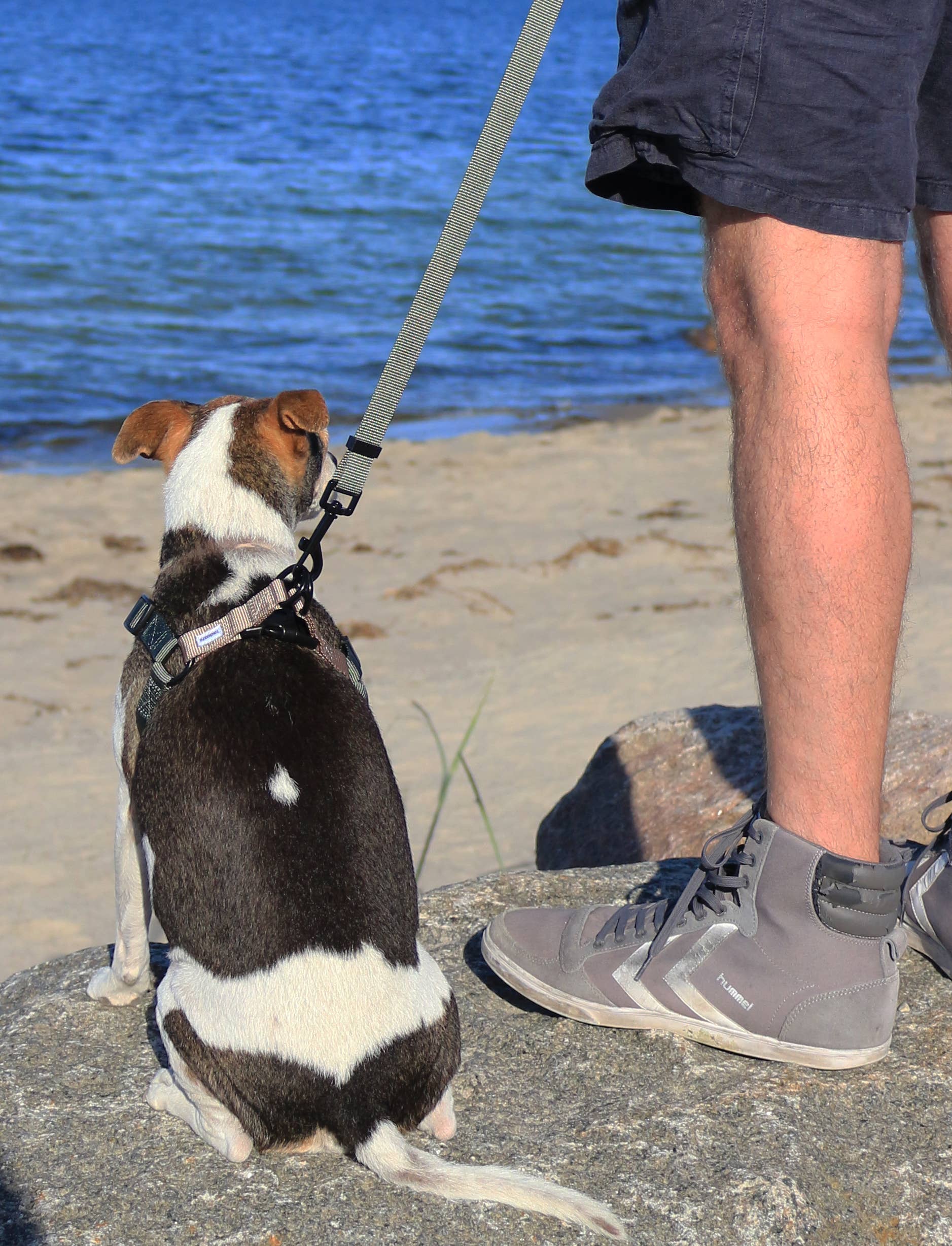 Luna step-in Harness Green Sand