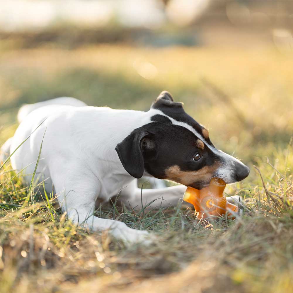 Natural Rubber Free Jump Dog Toy