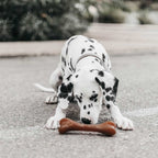 Natural Rubber Bone Dog Toy