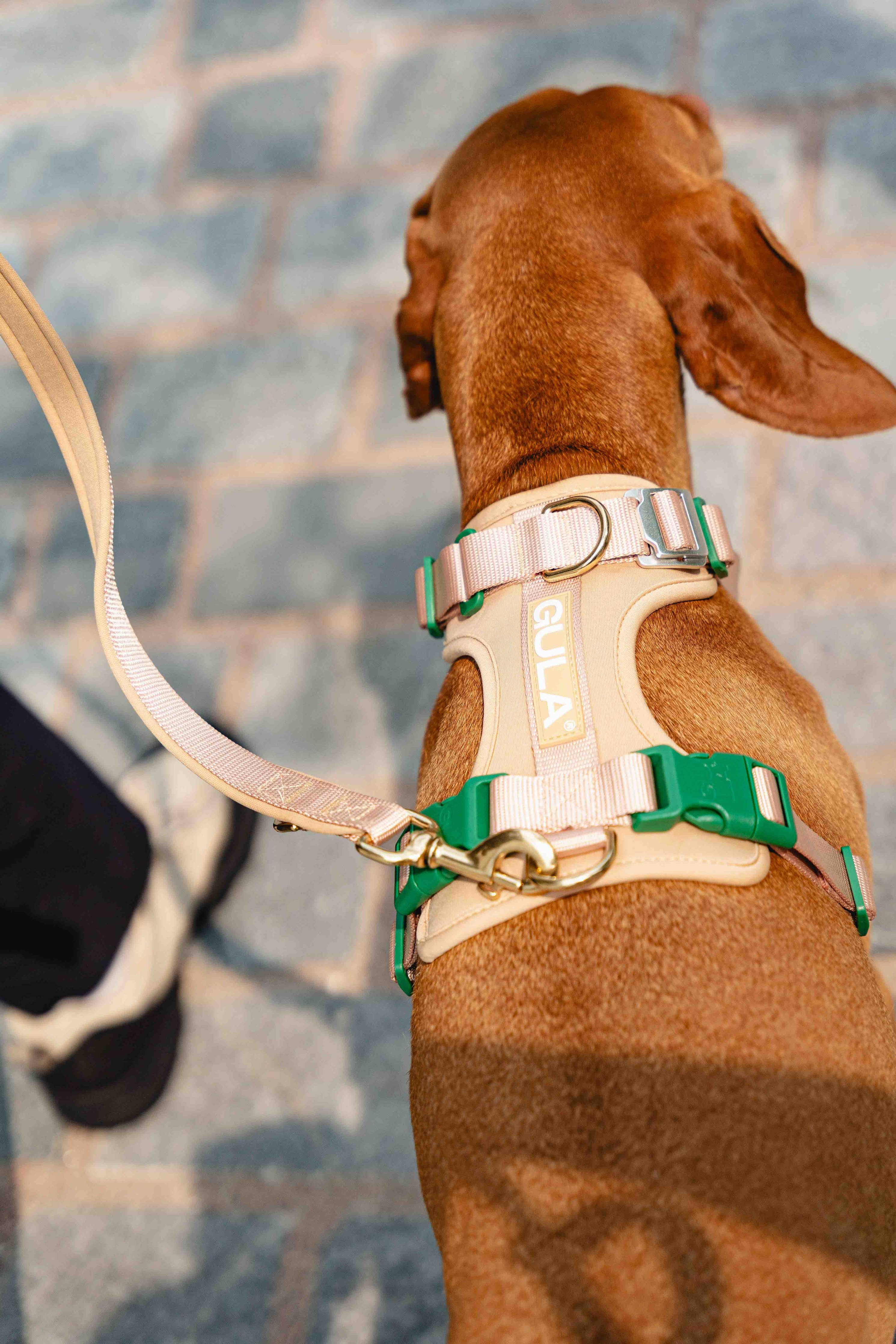 Dog Leash (Air-layer fabric) - Beige