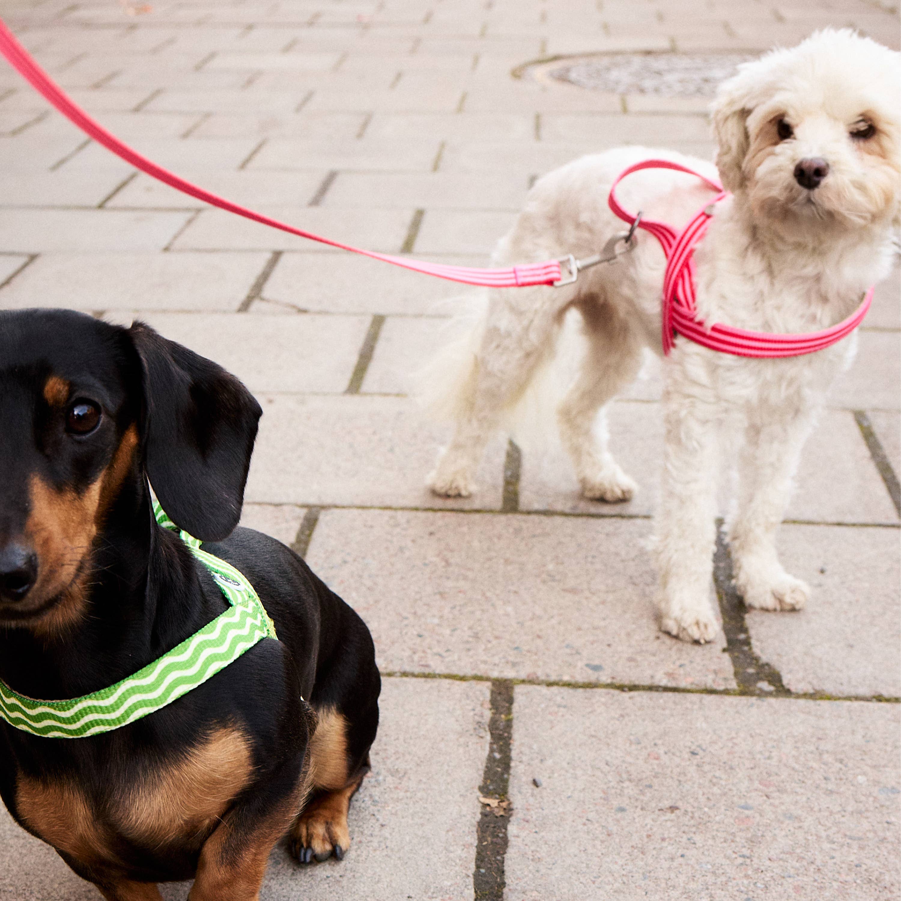 Dog Harness Striped Pink & Red Recycled Material