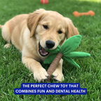 Baby Palm Chew Toy for Dental Support