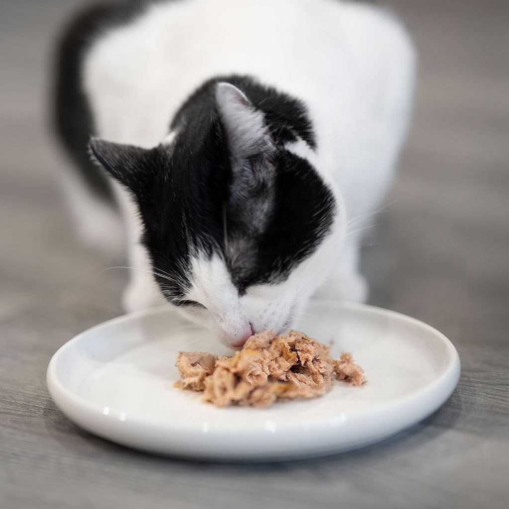 Chicken with Rabbit can for cats (80g) by Retorn
