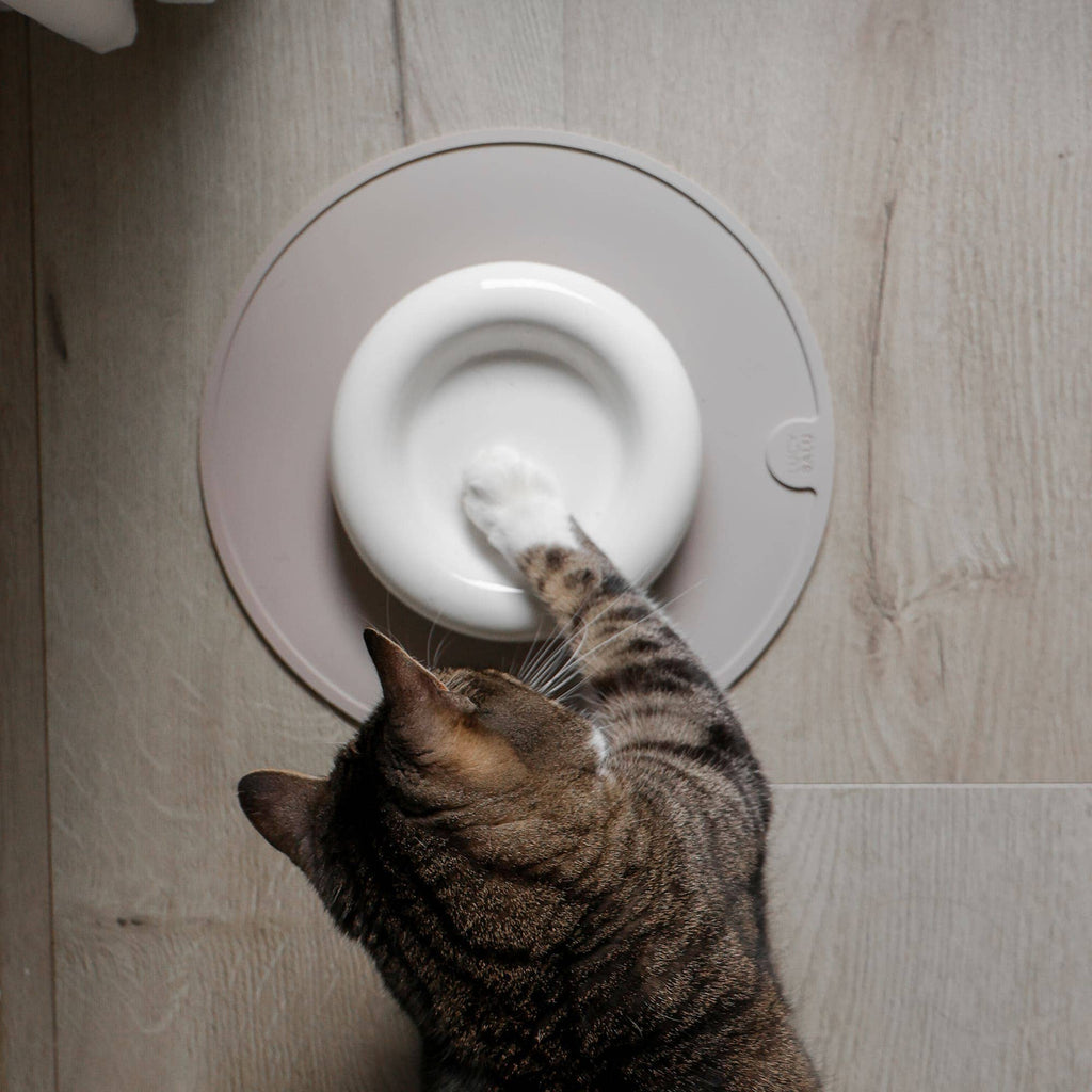 DROP cat bowl