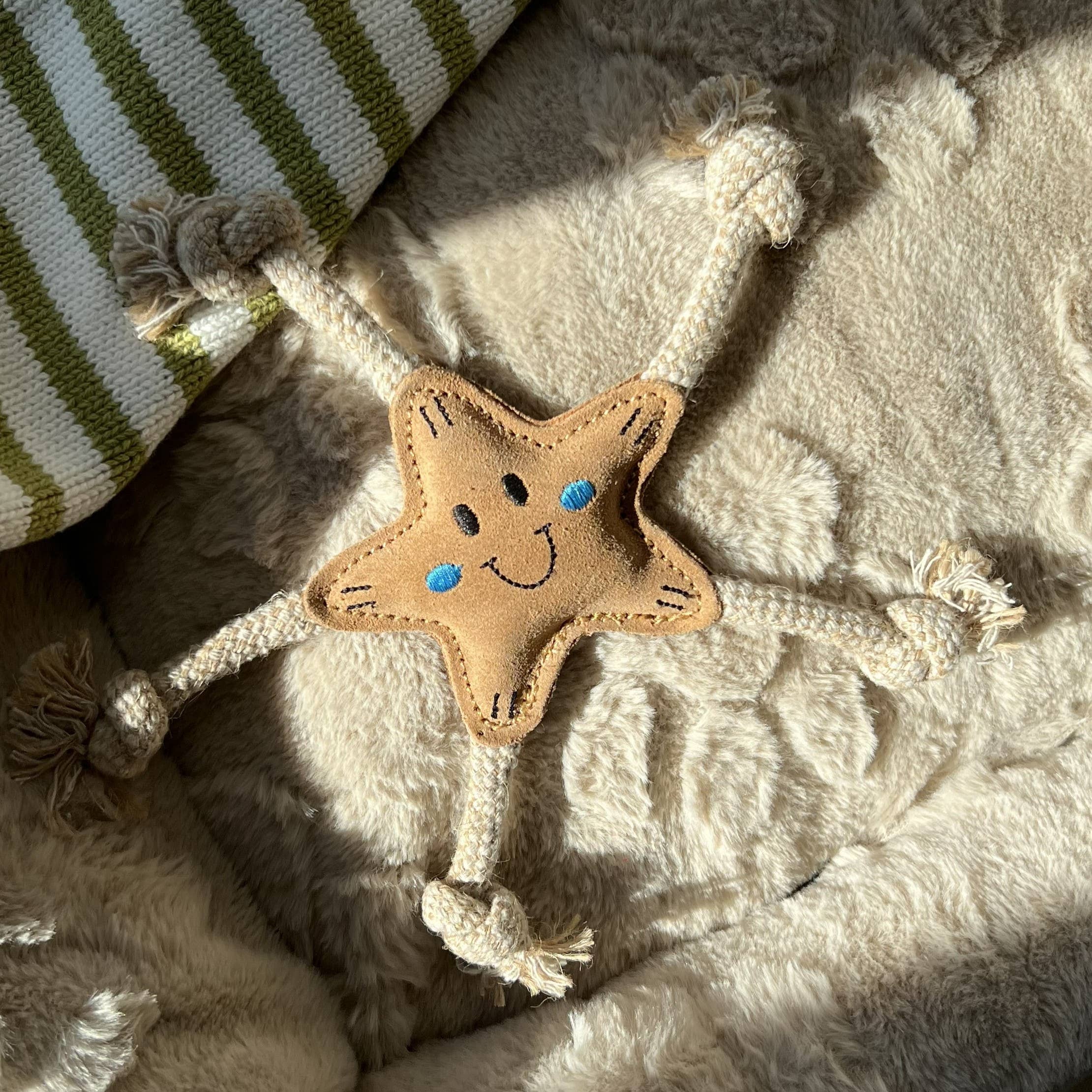 Stellina Summer Edition for small dogs ⭐