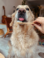 Bamboo toothbrush