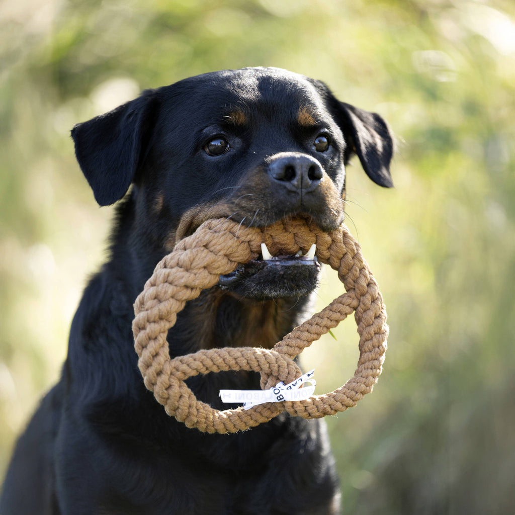 Britta Pretzel rope toy