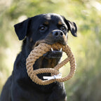 Britta Pretzel rope toy