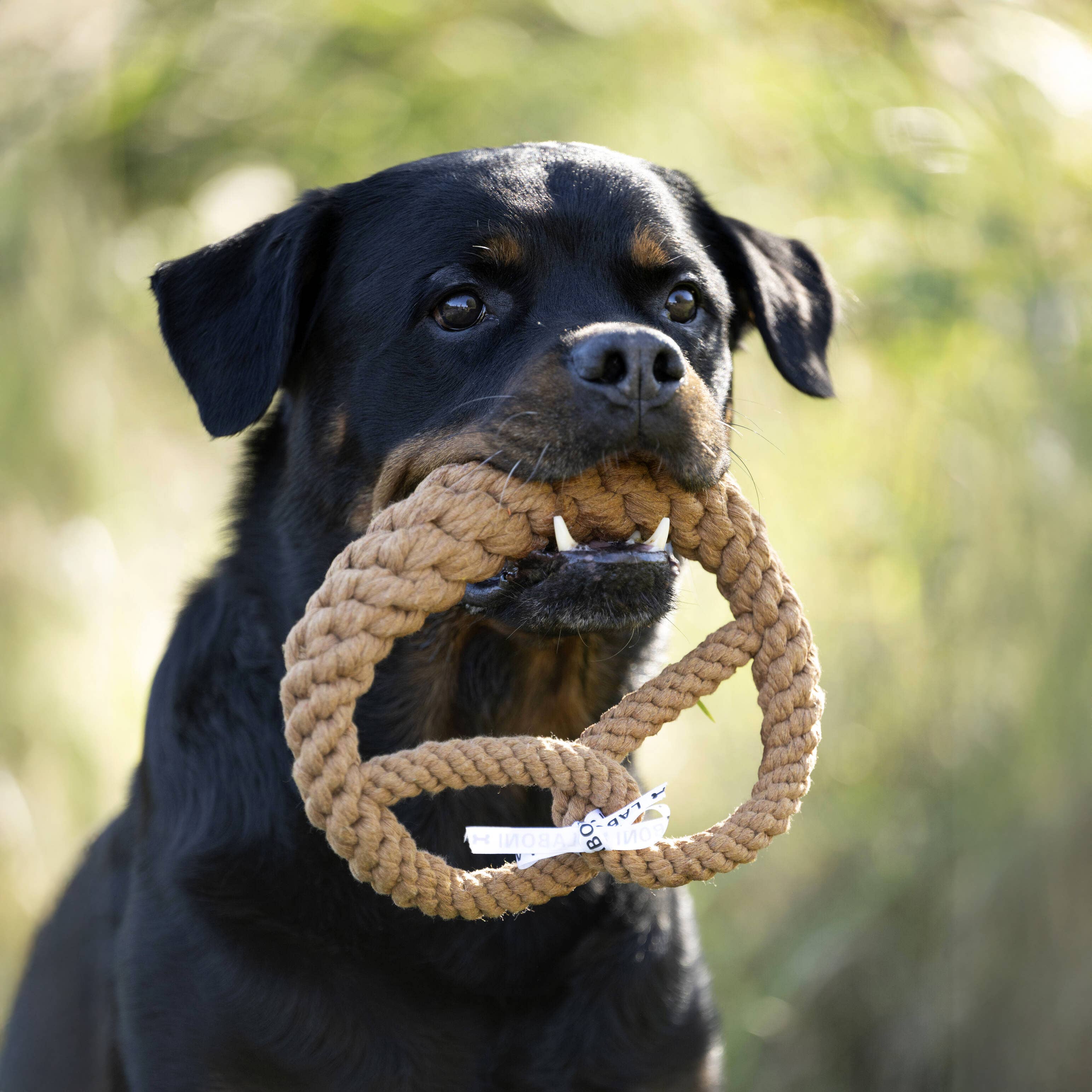 Britta Pretzel rope toy