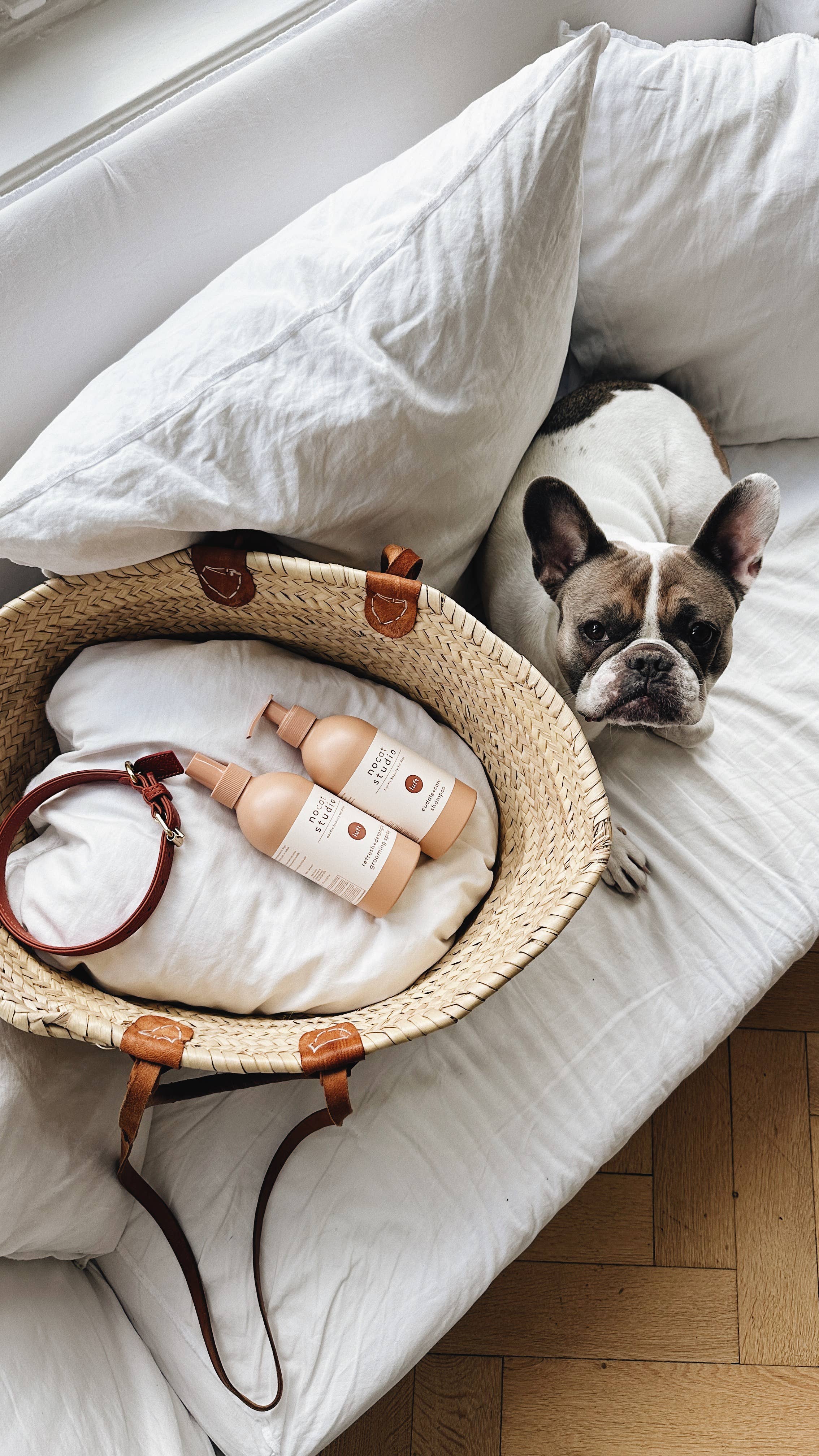 Cuddle+care shampoo LUFT