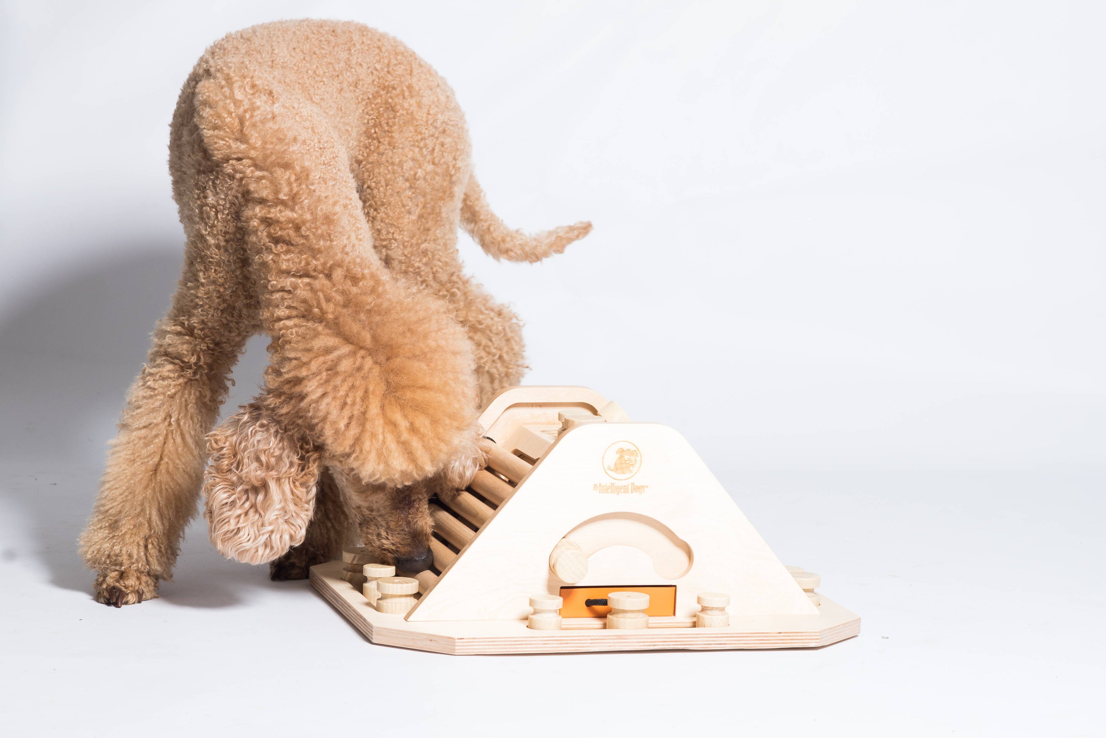 Pyramid - challenging and stimulating dog game