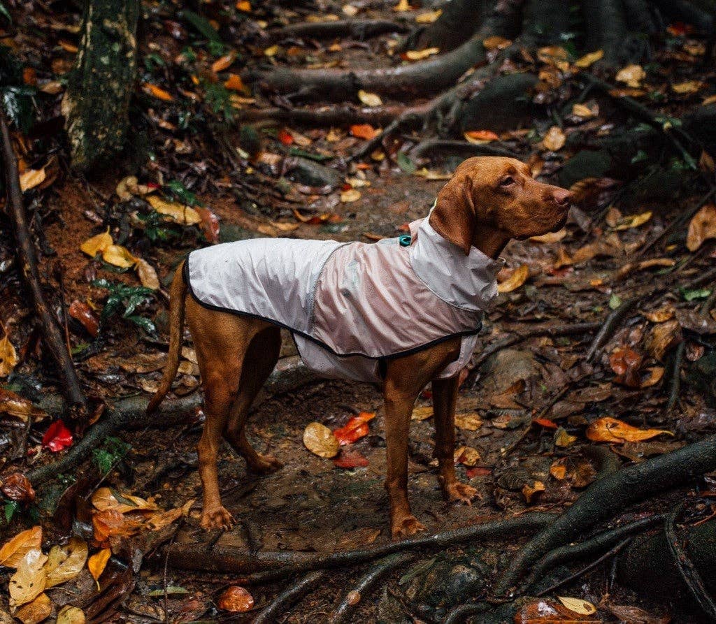Oatmeal Raincoat with pouch