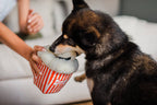 P.L.A.Y Hollywoof Cinema Poppin' Pupcorn