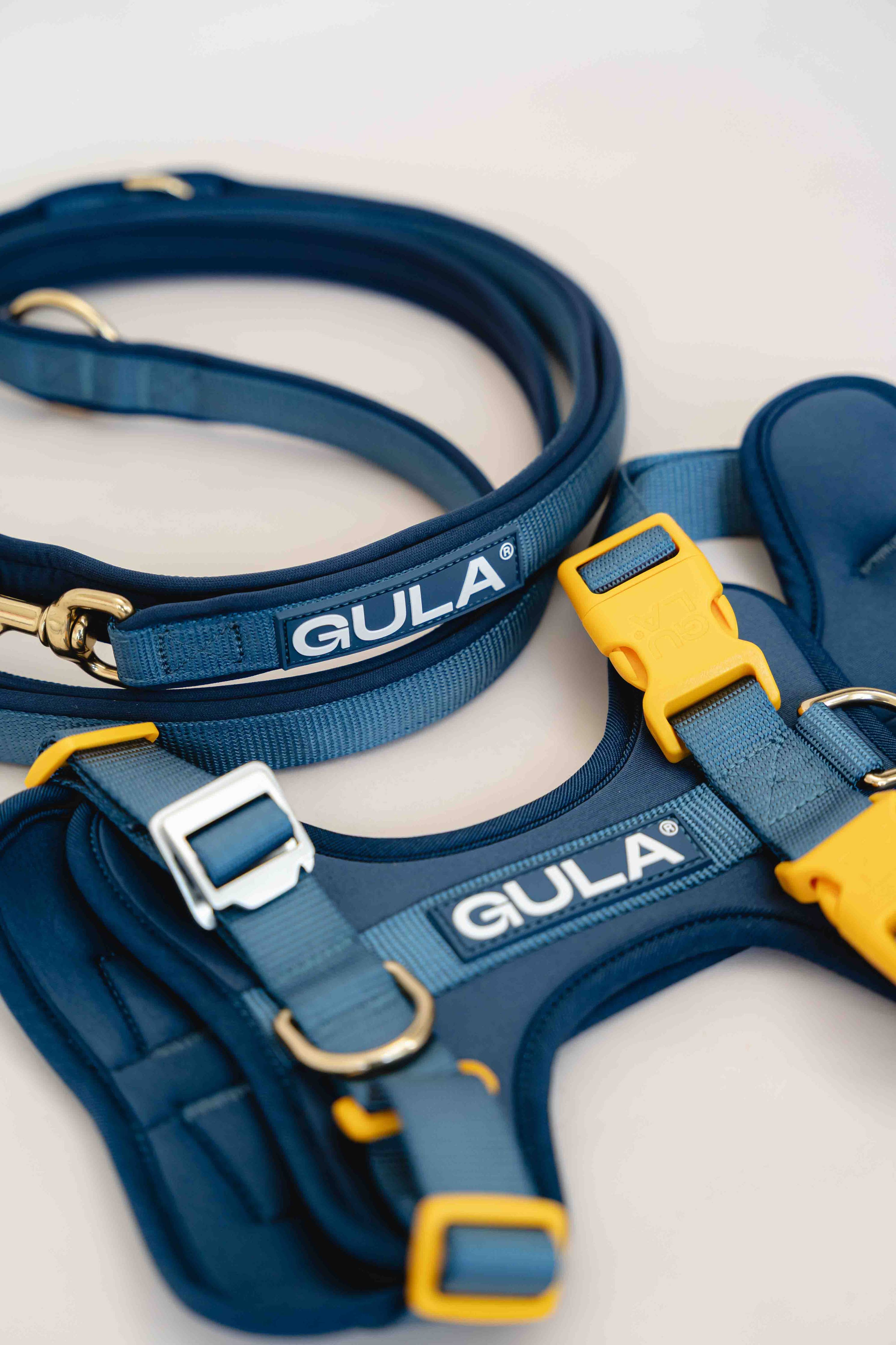 Dog Harness NEW - Bleu & Yellow