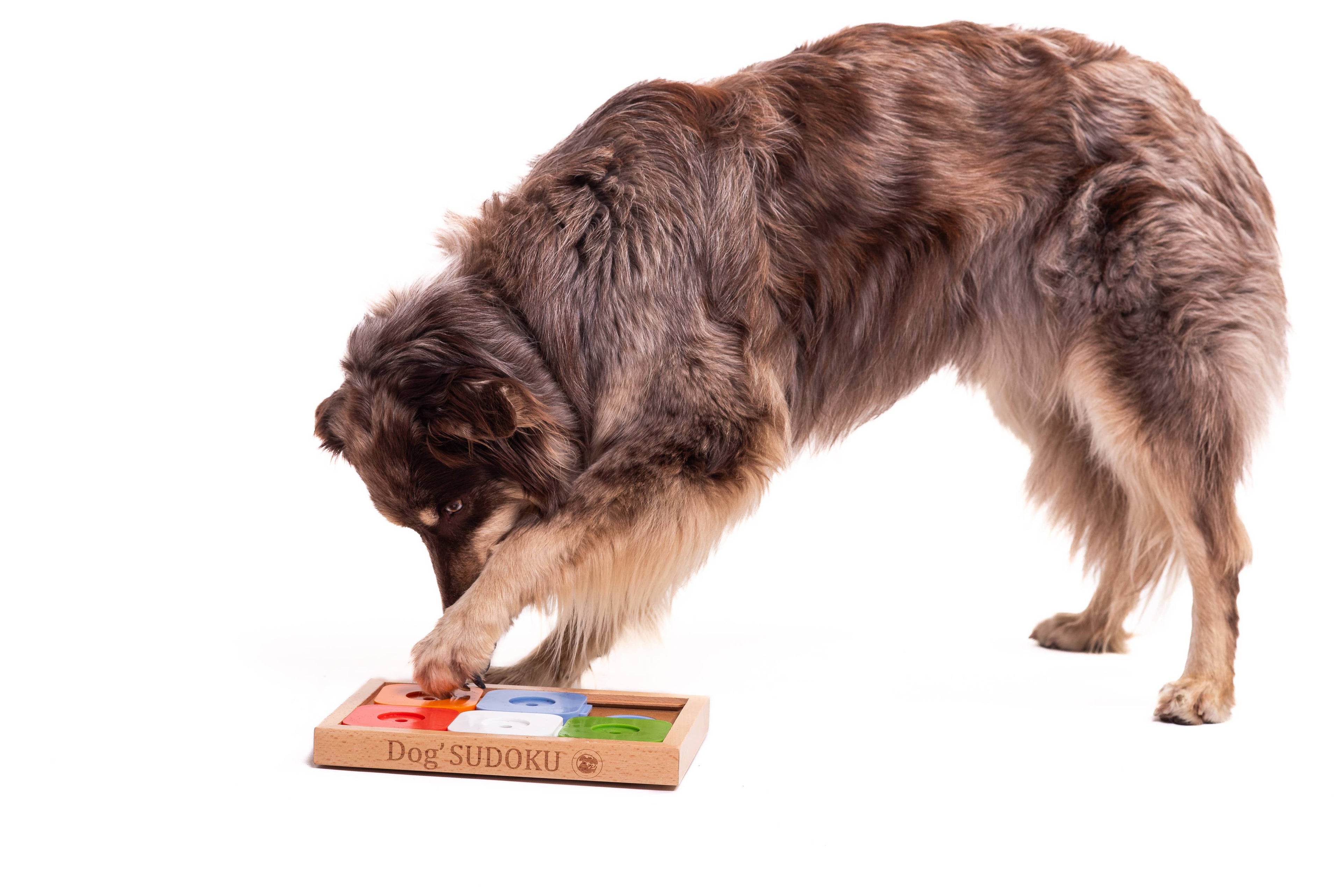 SUDOKU Medium Advanced Color - intelligent pet puzzle