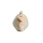 Kawaii Gyoza Plush