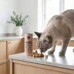 PURE cat snacks salmon freeze-dried