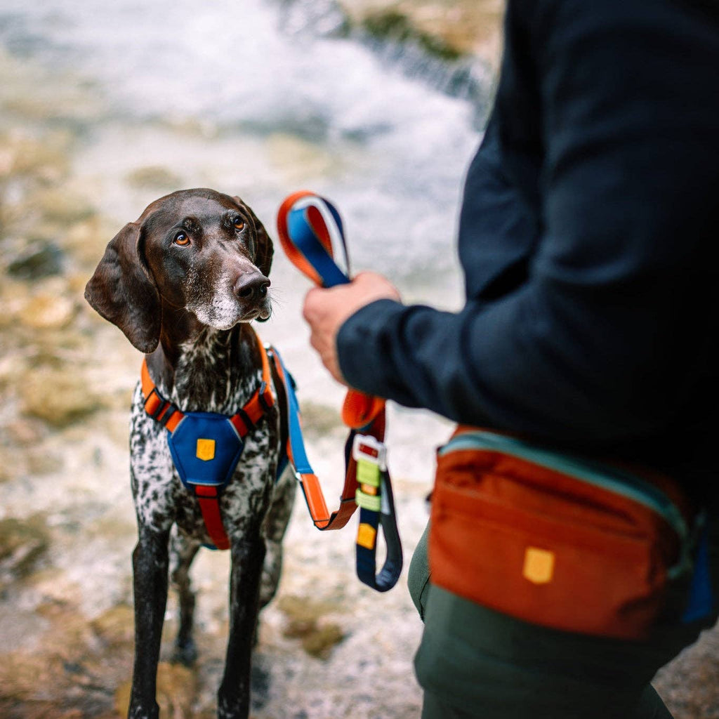 Multi-Use Dog Leash Colour Block Lime Mix