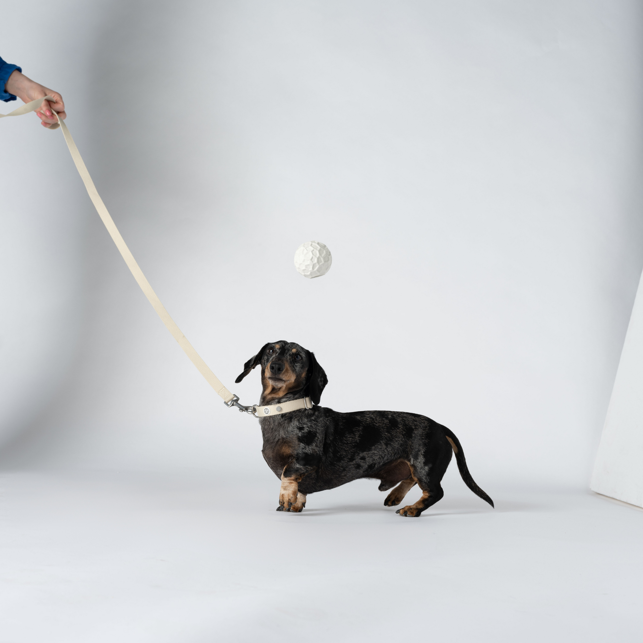 Dog Leash Sand Recycled Material