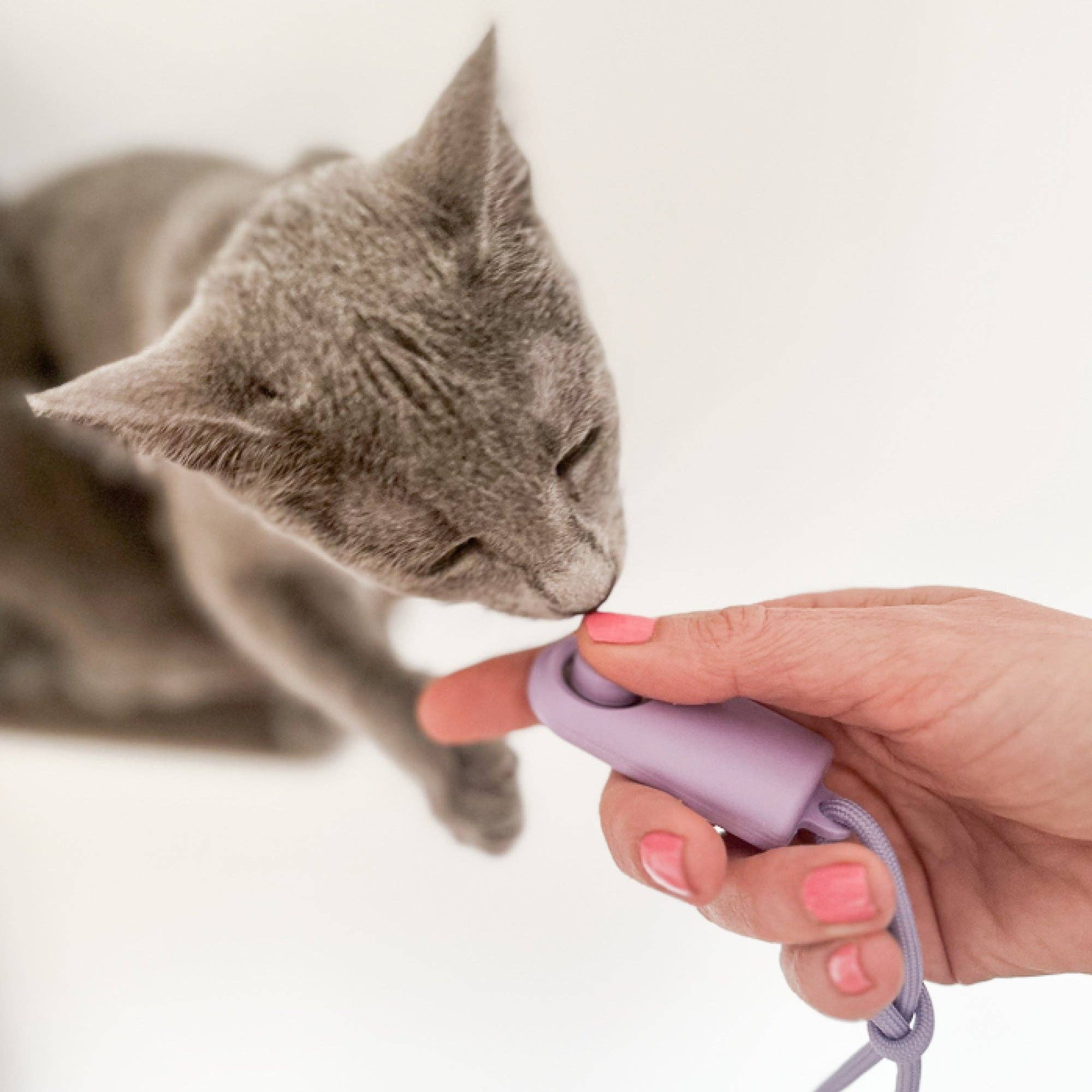 CLICKER Training Clicker (single)