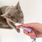 CLICKER Training Clicker | Set of 2