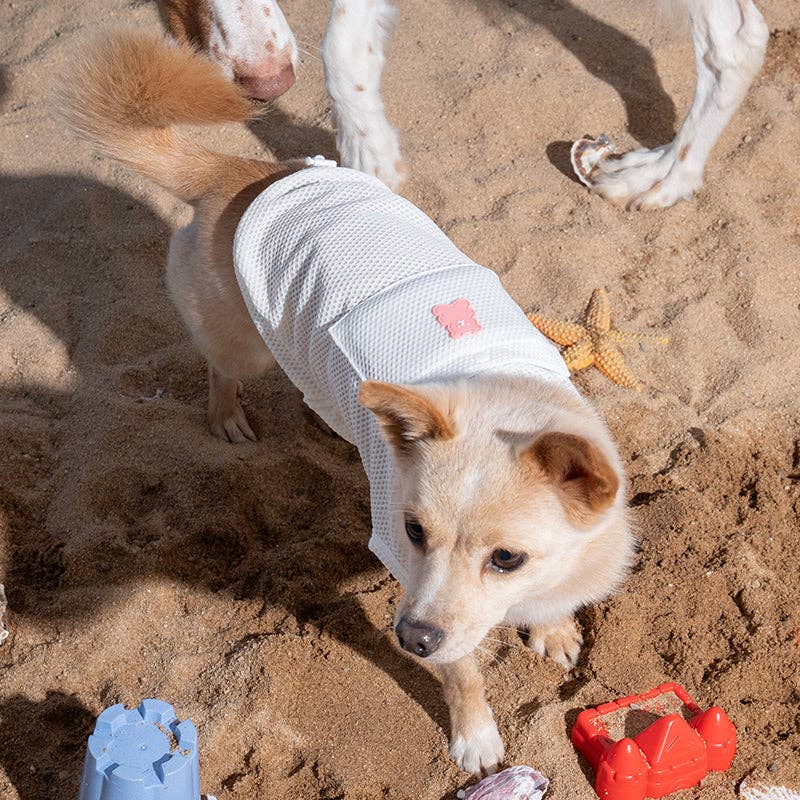 Gom Gom Cooling Dog Tank Top